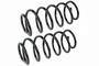 Coil Spring Set SMS86056