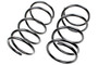 Coil Spring Set SMS81328 - front view