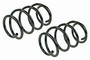 Coil Spring Set SMS81624 - front view