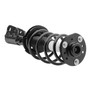 Direct Replacement New Complete Strut Assembly MSS050531 - angled view