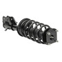 Direct Replacement New Complete Strut Assembly MSS050619 - angled view