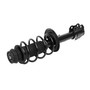 Direct Replacement New Complete Strut Assembly MSS050318 - angled view