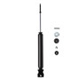 Shock Absorber 173699
