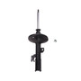 Suspension Strut 474618