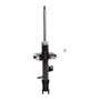 Suspension Strut 474864 - front view
