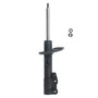 Suspension Strut 474961