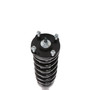 Complete Strut Assembly 710797 - bottom view