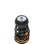 Complete Strut Assembly 810091 - bottom view