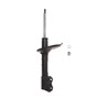 Suspension Strut 474908