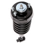Complete Strut Assembly 715023 - bottom view
