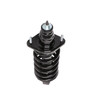 Complete Strut Assembly 710150R - bottom view