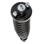 Complete Strut Assembly 813497 - bottom view