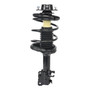 Complete Strut Assembly 814807 - bottom view