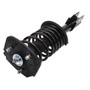 Complete Strut Assembly 810154 - bottom view