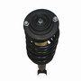 Complete Strut Assembly 811045L - bottom view