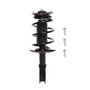 Complete Strut Assembly 815078 - front view