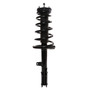 Complete Strut Assembly 815029 - front view