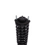 Complete Strut Assembly 813331 - bottom view