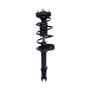 Complete Strut Assembly 814396 - front view