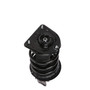 Complete Strut Assembly 815099 - bottom view