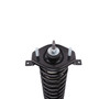 Complete Strut Assembly 815037 - bottom view