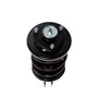 Complete Strut Assembly 814406 - bottom view
