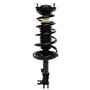 Complete Strut Assembly 814766 - front view