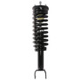 Complete Strut Assembly 813453 - front view