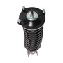Complete Strut Assembly 814771L - bottom view