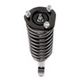 Complete Strut Assembly 813487 - bottom view