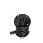 Complete Strut Assembly 815188 - bottom view
