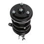 Complete Strut Assembly 815008 - bottom view