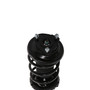 Complete Strut Assembly 814178 - bottom view
