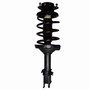 Complete Strut Assembly 814231 - front view