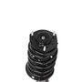 Complete Strut Assembly 814385 - bottom view