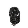 Complete Strut Assembly 813004 - bottom view