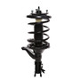 Complete Strut Assembly 815213 - front view