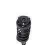 Complete Strut Assembly 815904 - bottom view