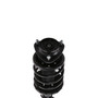 Complete Strut Assembly 815842 - bottom view