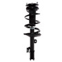 Complete Strut Assembly 815020 - front view