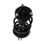 Complete Strut Assembly 815020 - bottom view