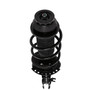 Complete Strut Assembly 816190 - bottom view