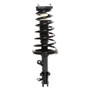 Complete Strut Assembly 815216 - front view