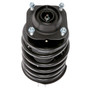 Complete Strut Assembly 814593 - bottom view