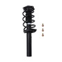 Complete Strut Assembly 815219 - front view