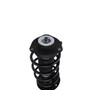 Complete Strut Assembly 815219 - bottom view