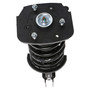 Complete Strut Assembly 815024 - bottom view