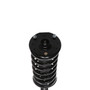 Complete Strut Assembly 815943 - bottom view