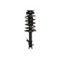 Complete Strut Assembly 817246 - front view