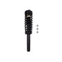 Complete Strut Assembly 816773 - front view